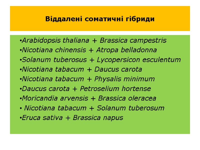 Віддалені соматичні гібриди Arabidopsis thaliana + Brassica campestris Nicotiana chinensis + Atropa belladonna Solanum